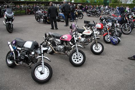 File:Mini bikes - Flickr - exfordy.jpg - Wikimedia Commons