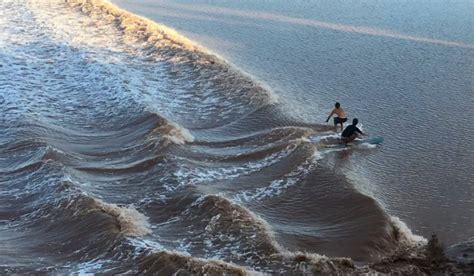 Surf's Up on the Tidal Bore - East Coast Mermaid