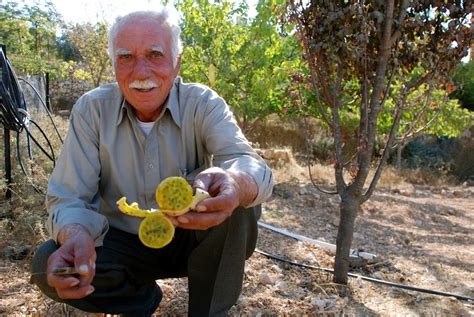 Abu Nidal: Exhuming Hope from the Graves | IMEU