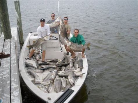 Should snook season be re-opened on the Gulf coast of Florida? | Reefs to Rivers: Florida ...