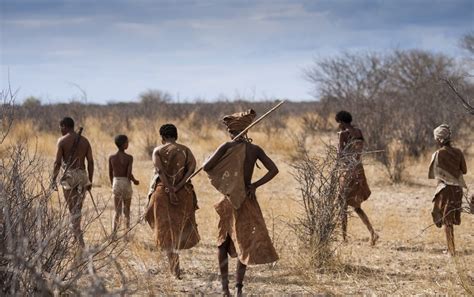 Rare Genetic Sequences Illuminate Early Humans' History in Africa ...