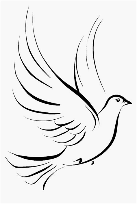 Columbidae Funeral Symbols As Drawing Doves Clipart - Holy Spirit Clipart Doves, HD Png Download ...