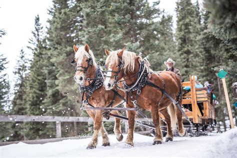 Lone Mountain Ranch Packages | Unique Lodges of The World