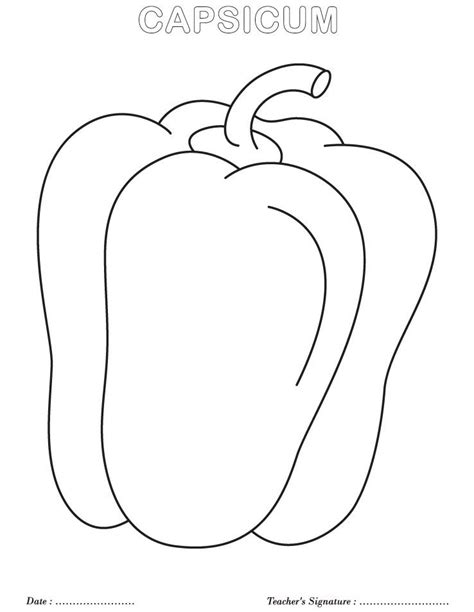 Capsicum coloring page | Coloring pages, Coloring pages for kids, Color