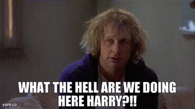 YARN | What the hell are we doing here Harry?!! | Dumb & Dumber (1994 ...