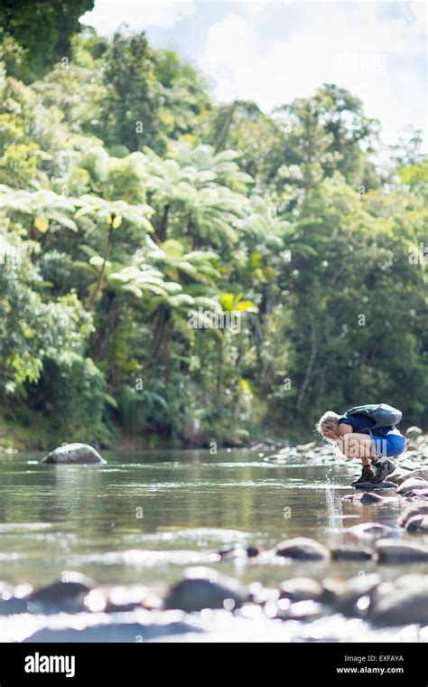 Hiker walking among stones in shallow stream, Waima Forest, North Island, NZ Stock Photo - Alamy