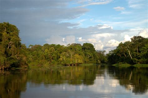 Amazon River | Trips Amazon River | Amazon Lodge Iquitos | Amazon River Tour | Amazon River ...