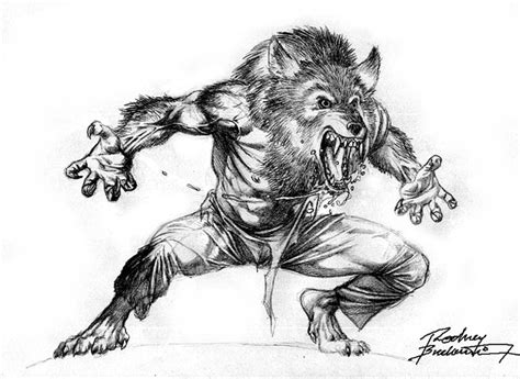 The wolf den: Werewolf - Black and white sketch (Buchemi)