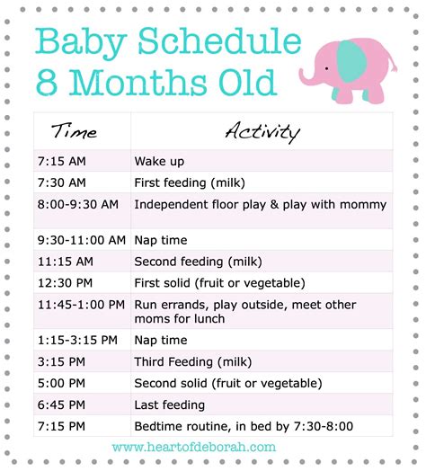 Feeding And Sleeping Routine For 8 Month Old Baby - Baby Viewer