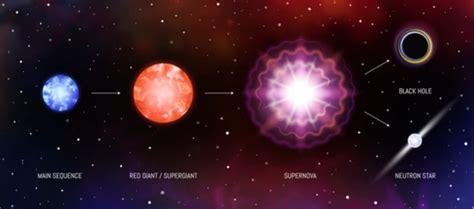 Life Cycle of a Star | Step by Step (White Dwarfs, Supernovae, Neutron ...