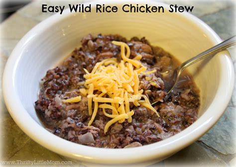 Easy Wild Rice Chicken Stew » Thrifty Little Mom