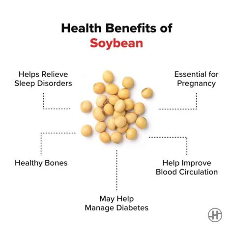 Soybean - Benefits, Nutrition Value & Recipes - HealthifyMe