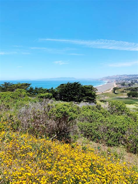 Hikes in Pacifica: Pacifica Hiking Trails With the Best Coastal Views