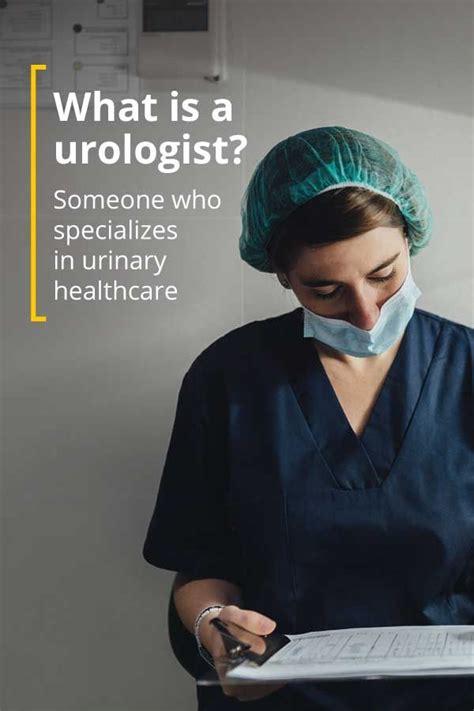 What Is a Urologist? What They Do, Procedures, and More | Urologists, Health and beauty tips ...