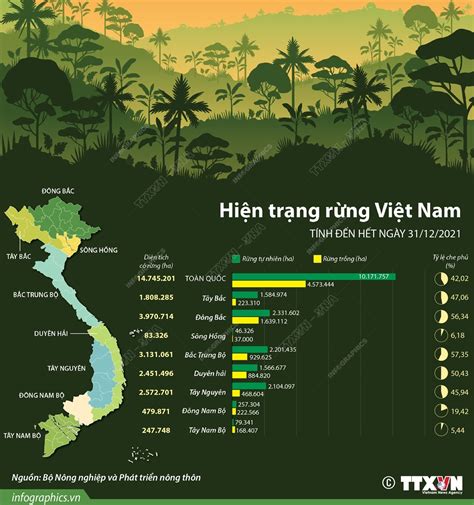 Hiện trạng rừng Việt Nam | baotintuc.vn