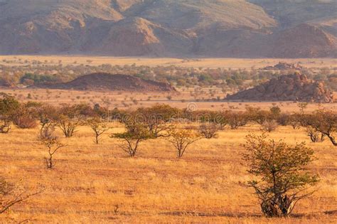 Namibian Landscape Damaraland, Homelands in South West Africa, Mowani, Namibia Stock Image ...