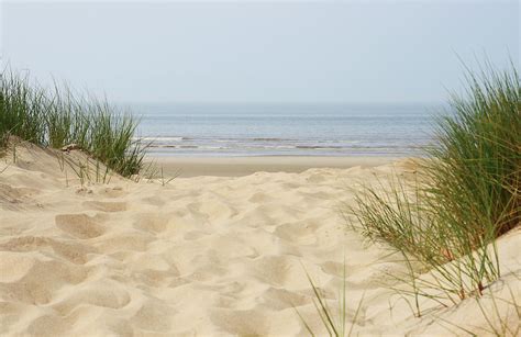 Sand Dunes On Beach At North Sea by Knaupe