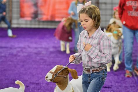 Goats – Mason County Livestock Show