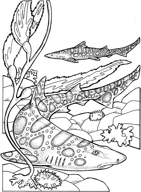 Coloring Pages: Shark Coloring Pages Free and Printable