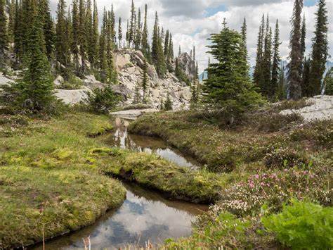 Hiking and Camping with Kids at Kokanee Glacier Provincial Park, BC – Backwoods Mama