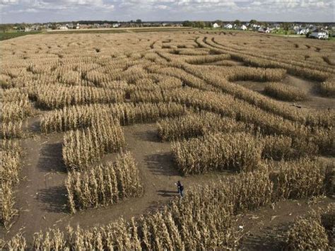 Awesome Corn Crop Maze Art - Barnorama