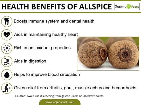 Some of the most important health benefits of allspice include its ...