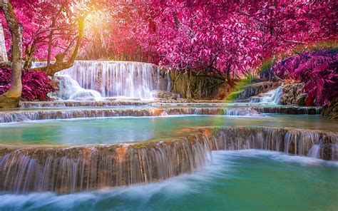 HD wallpaper: Waterfalls, Foliage, Nature, Rainbow, Tree | Wallpaper Flare