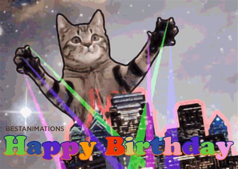 Happy Birthday Funny Cat Gif