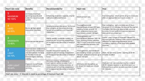 Polar Heart Rate Chart