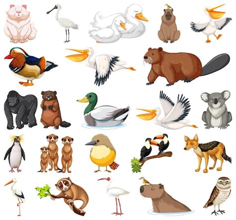 Free Vector | Different kinds of animals collection