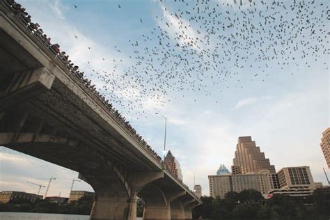 What is Austin, Texas Known For? (15 Things It's Famous For)