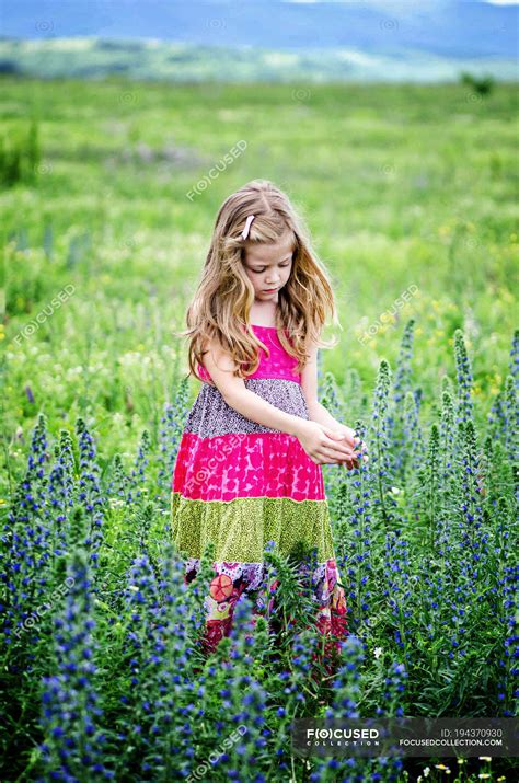 Blond Girl picking flowers in meadow — Full Length, 6 7 years - Stock Photo | #194370930