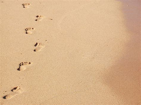 Footprints in the Sand Free Photo Download | FreeImages