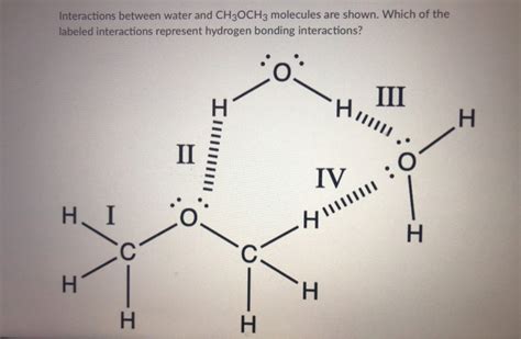 Solved Interactions between water and CH3OCH3 molecules are | Chegg.com