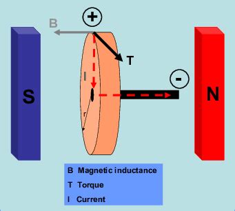 Schematic of homopolar motor | Download Scientific Diagram