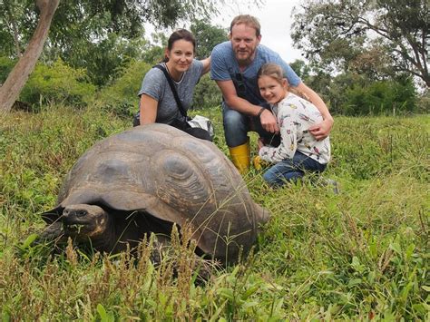 Wildlife Holidays in South America | Andean Trails