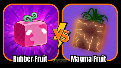 Is Rubber Fruit Better Than Magma? Guide For Beginners