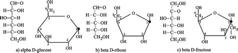 Typical aldose and ketose monosaccharides in Fischer and Haworth... | Download Scientific Diagram