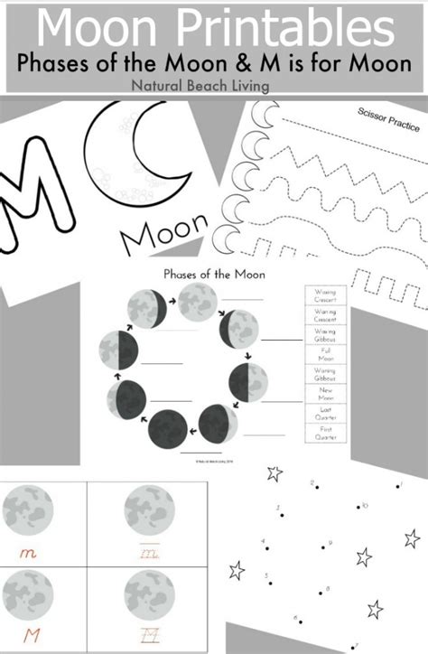 Moon Activities Montessori Astronomy