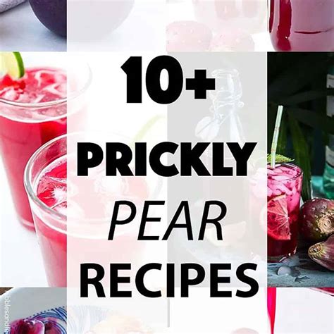 10+ Prickly Pear Recipes You Have to Try » LeelaLicious