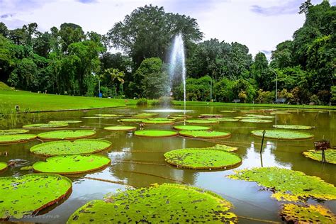 Deskripsi Kebun Raya Bogor - Homecare24