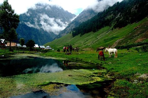 THE BEST Things to Do in Sonmarg (2024) - Must-See Attractions