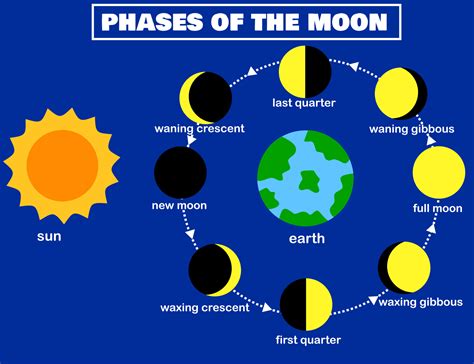 Phases of the moon.Lunar phase.Earth and sun.Luna The lunar cycle ...