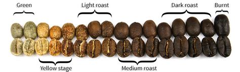 The Art of Coffee Roasting | Caffe Society