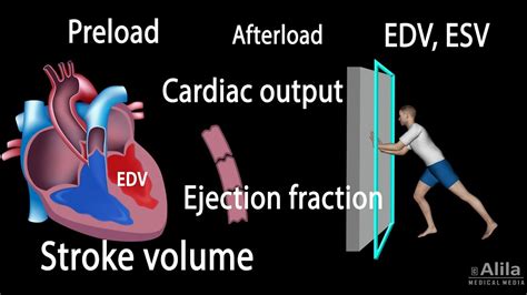 Cardiac Output, Stroke volume, EDV, ESV, Ejection Fraction - YouTube