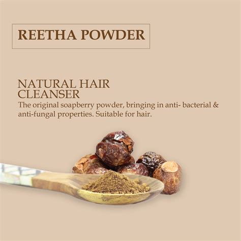 Reetha Powder – Wildorganic ind