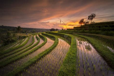 Sunrise at Tamblingan Lake Temple Singaraja Bali Stock Image - Image of beratan, karangasem ...