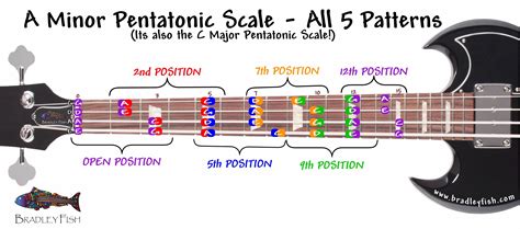 Expand Your Bass Fretboard Knowledge With The Pentatonic