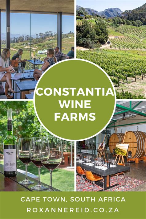 Constantia wine farms: why visit these Cape Town wineries - Roxanne ...