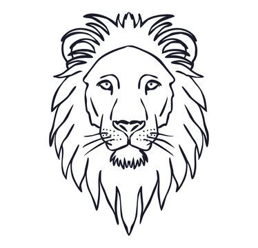 Lion Head Outline Images – Browse 21,720 Stock Photos, Vectors, and Video | Adobe Stock